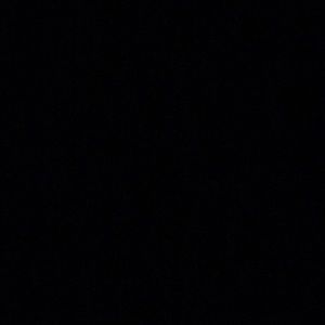 Meet your Posher, Dalton